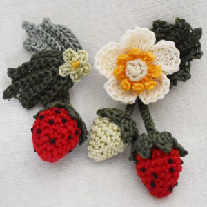 野イチゴのピアス